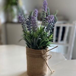 Meet your Posher, Ava